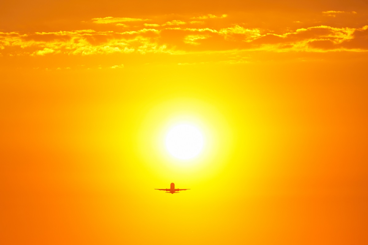 Podczerwień w przyrodzie